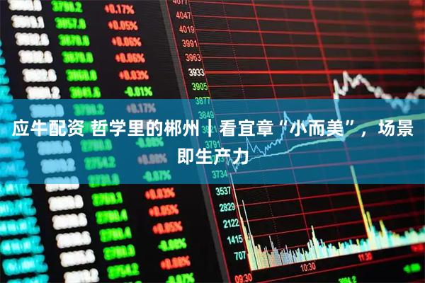 应牛配资 哲学里的郴州｜看宜章“小而美”，场景即生产力
