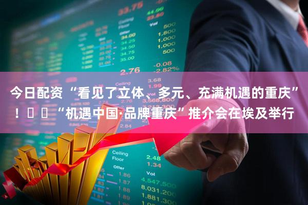 今日配资 “看见了立体、多元、充满机遇的重庆”！​​“机遇中国·品牌重庆”推介会在埃及举行