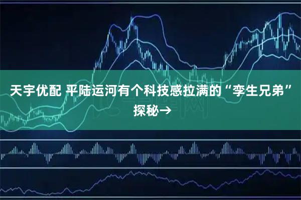 天宇优配 平陆运河有个科技感拉满的“孪生兄弟” 探秘→