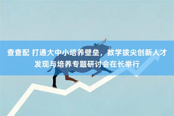 查查配 打通大中小培养壁垒，数学拔尖创新人才发现与培养专题研讨会在长举行