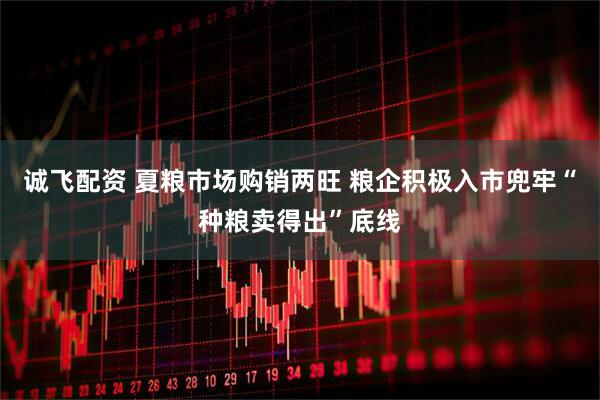 诚飞配资 夏粮市场购销两旺 粮企积极入市兜牢“种粮卖得出”底线